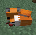 a minecraft fox sleeping, click to go home !